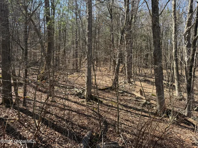 $67,000 | L17.24 Tsatsawassa Lake Road, East Nassau, NY 12062