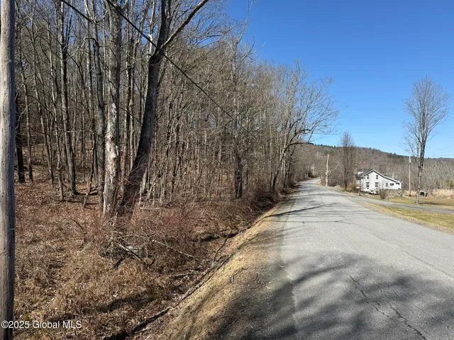 $67,000 | L17.24 Tsatsawassa Lake Road, East Nassau, NY 12062