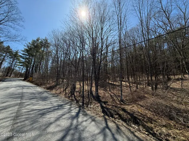 $67,000 | L17.24 Tsatsawassa Lake Road, East Nassau, NY 12062