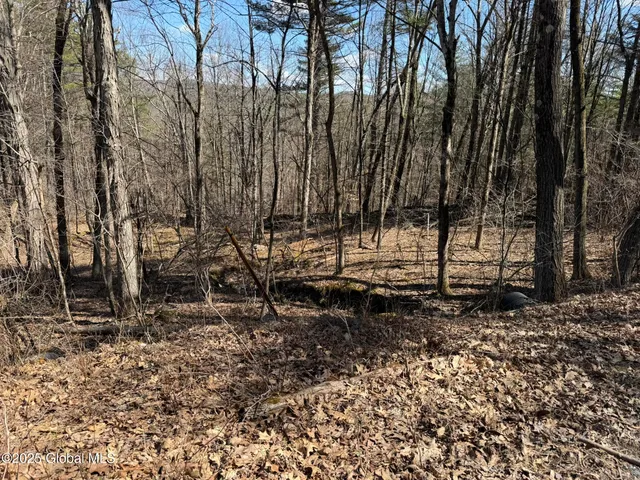 $67,000 | L17.24 Tsatsawassa Lake Road, East Nassau, NY 12062