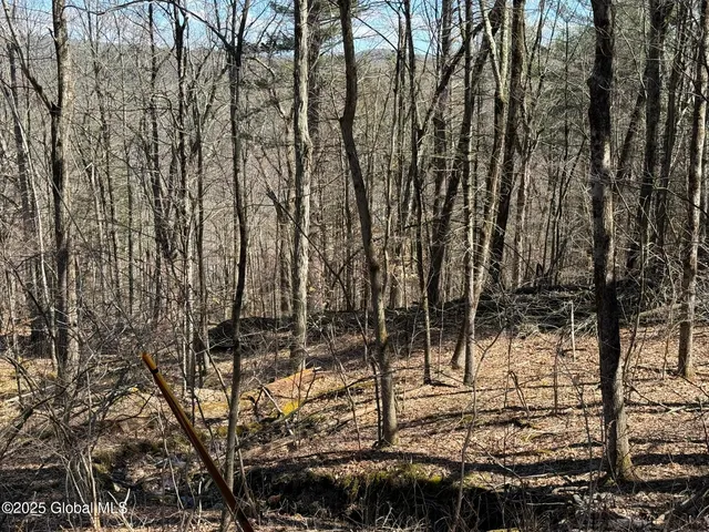 $67,000 | L17.24 Tsatsawassa Lake Road, East Nassau, NY 12062