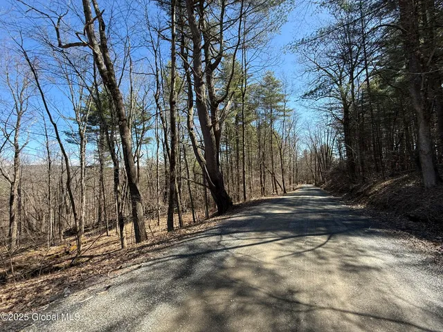 $67,000 | L17.24 Tsatsawassa Lake Road, East Nassau, NY 12062