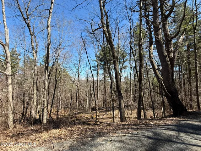 $67,000 | L17.24 Tsatsawassa Lake Road, East Nassau, NY 12062