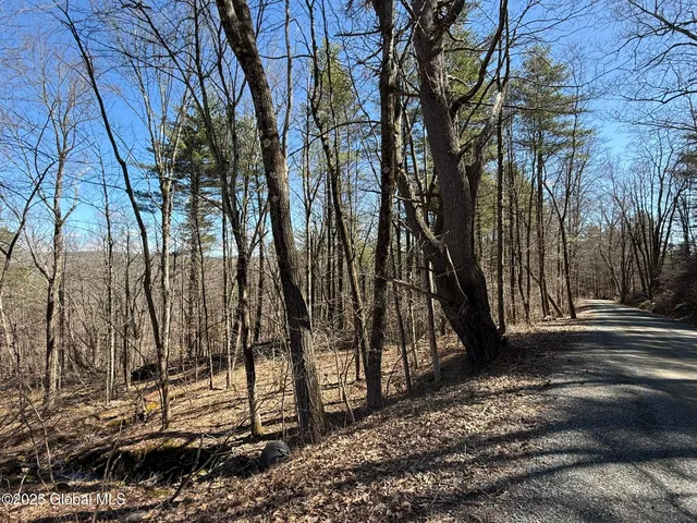 $67,000 | L17.24 Tsatsawassa Lake Road, East Nassau, NY 12062