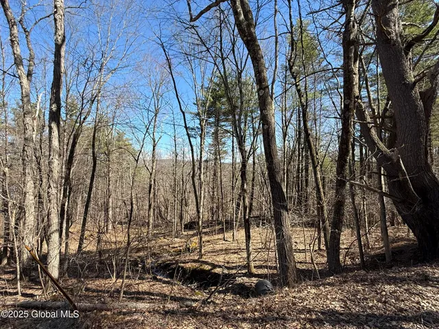 $67,000 | L17.24 Tsatsawassa Lake Road, East Nassau, NY 12062