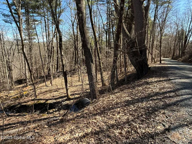 $67,000 | L17.24 Tsatsawassa Lake Road, East Nassau, NY 12062