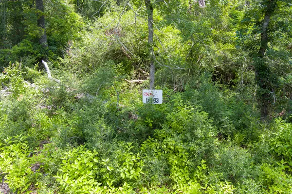 a map view of a forest