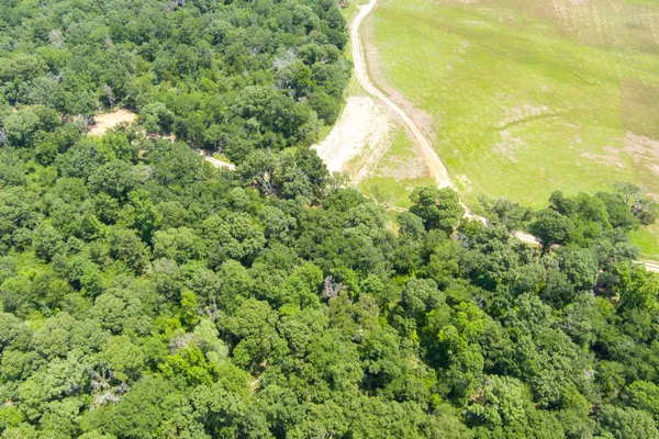 a close up of a plant in a garden