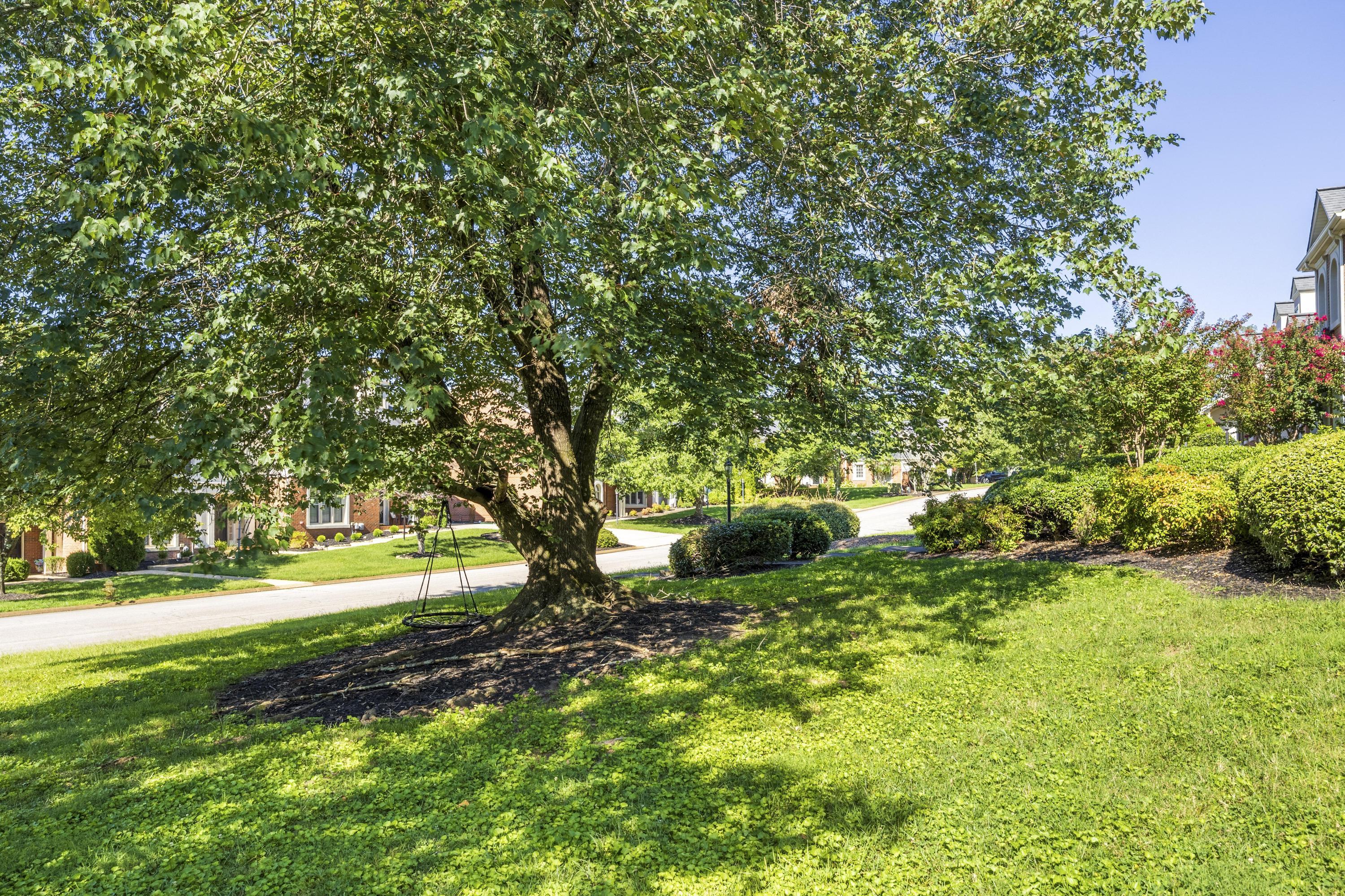 7423 Hamilton Run Drive Chattanooga, TN 37421 - Photo 33 of 39 Outdoor area
