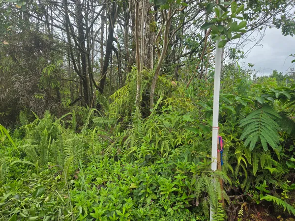 $135,000 | 53 34th Avenue, Keaau, HI 96749