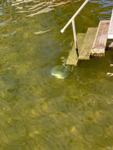 $3,000 | 8081 Rosella Street, Syracuse, IN 46567