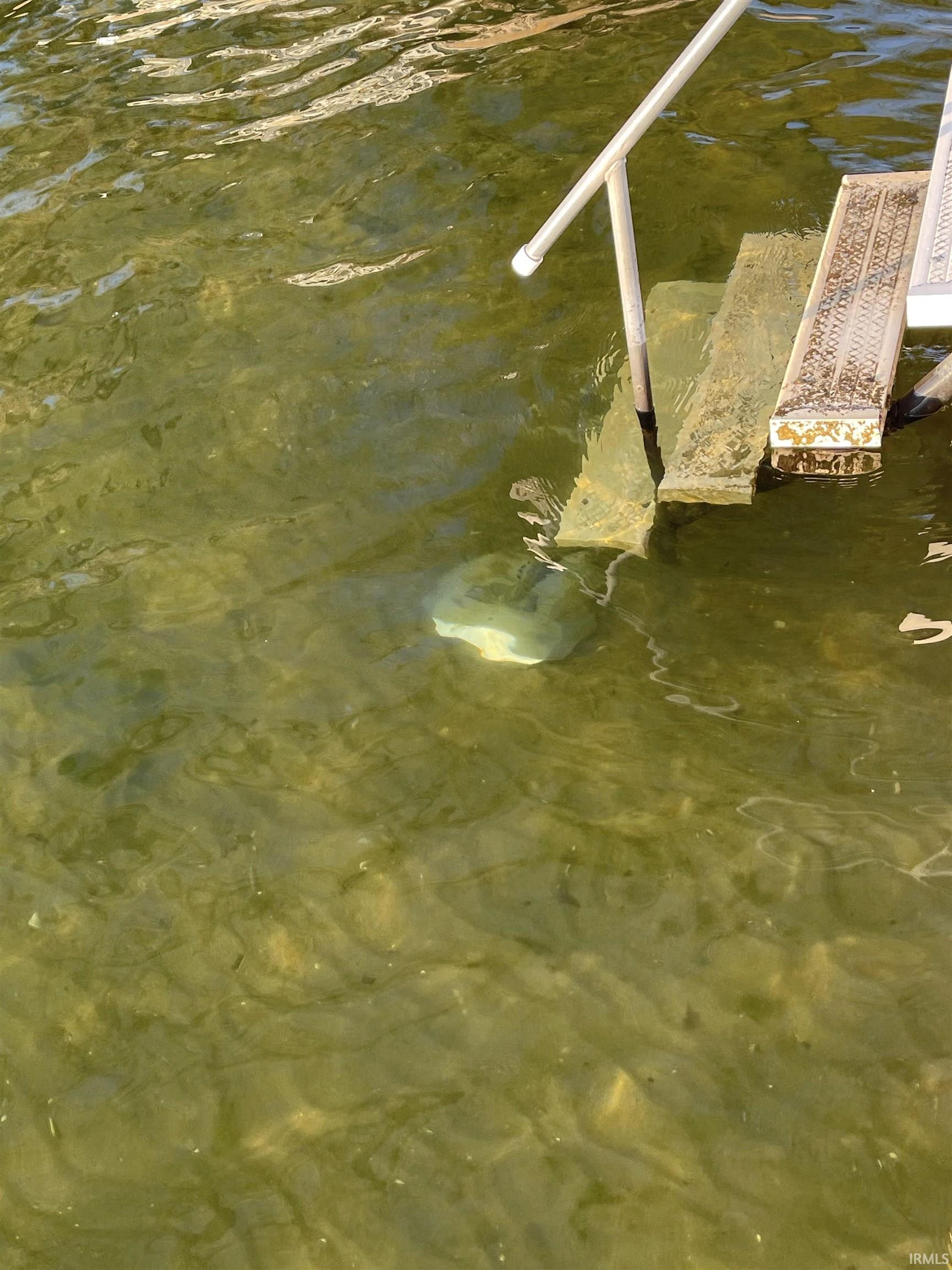 8081 Rosella Street Syracuse, IN 46567 - Photo 18 of 25