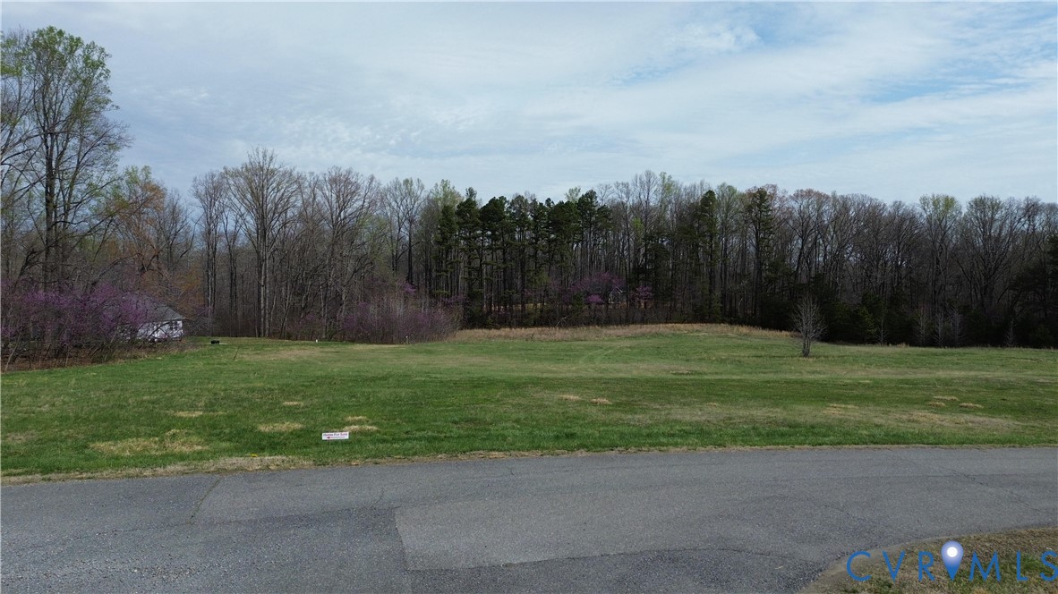 0 East Locket Pamplin, VA 23958 - Photo 6 of 11 a view of a yard