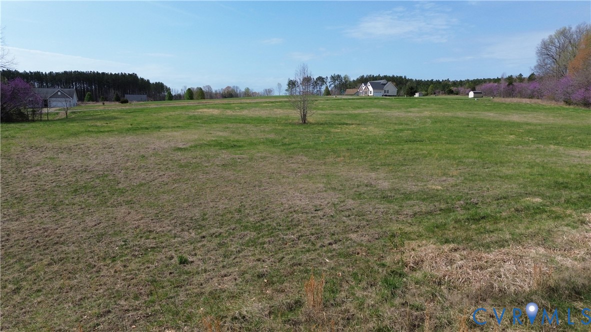0 East Locket Pamplin, VA 23958 - Photo 10 of 11 a view of a green field with lots of bushes