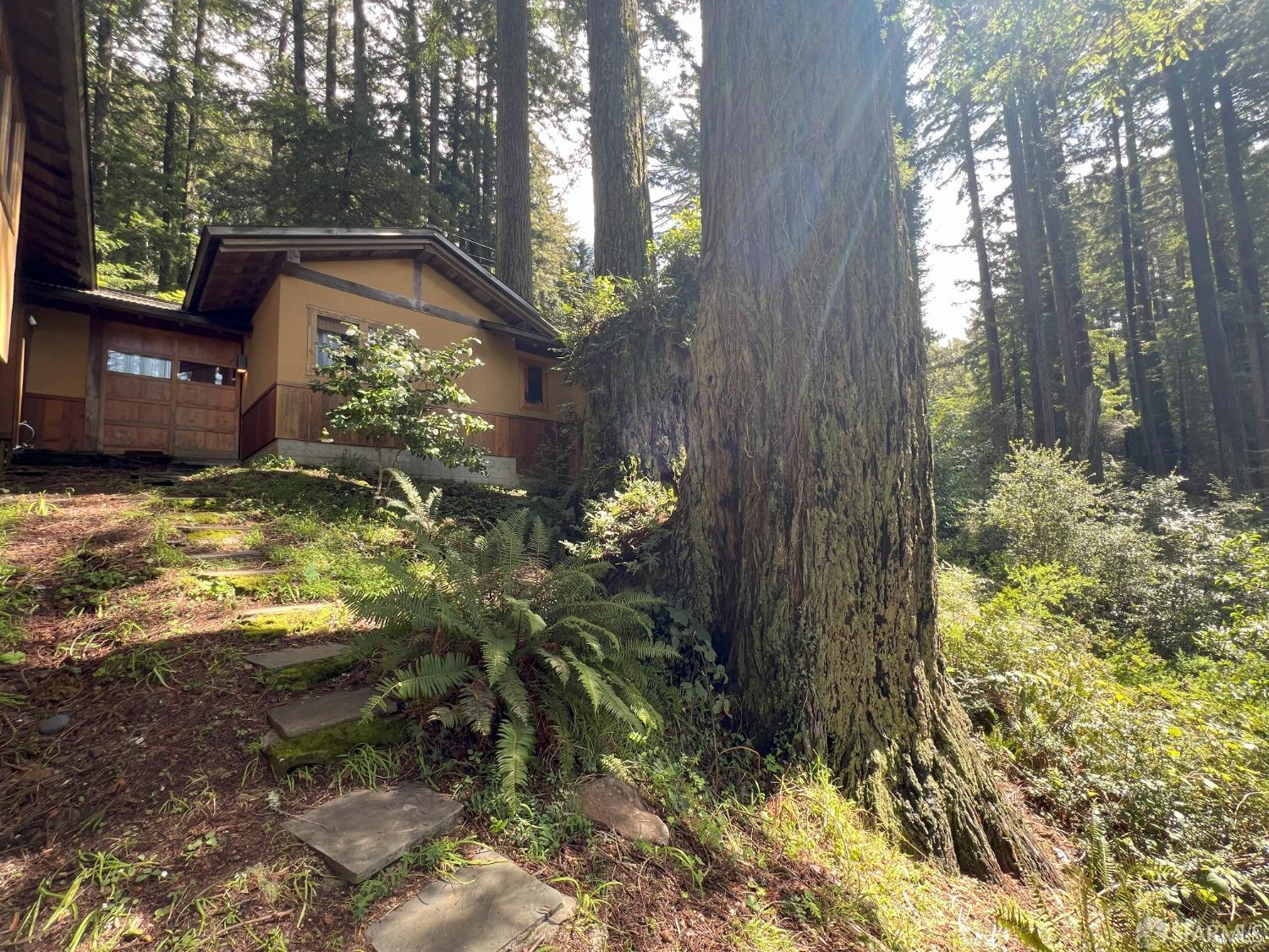 112 Marine Road Woodside, CA 94062 - Photo 17 of 22 a backyard of a house with lots of green space