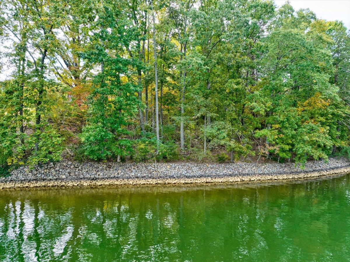 Lot 1 Merriman Way Road Moneta, VA 24121 - Photo 3 of 16 03-02- Lot 1 Merriman Way Rd-12