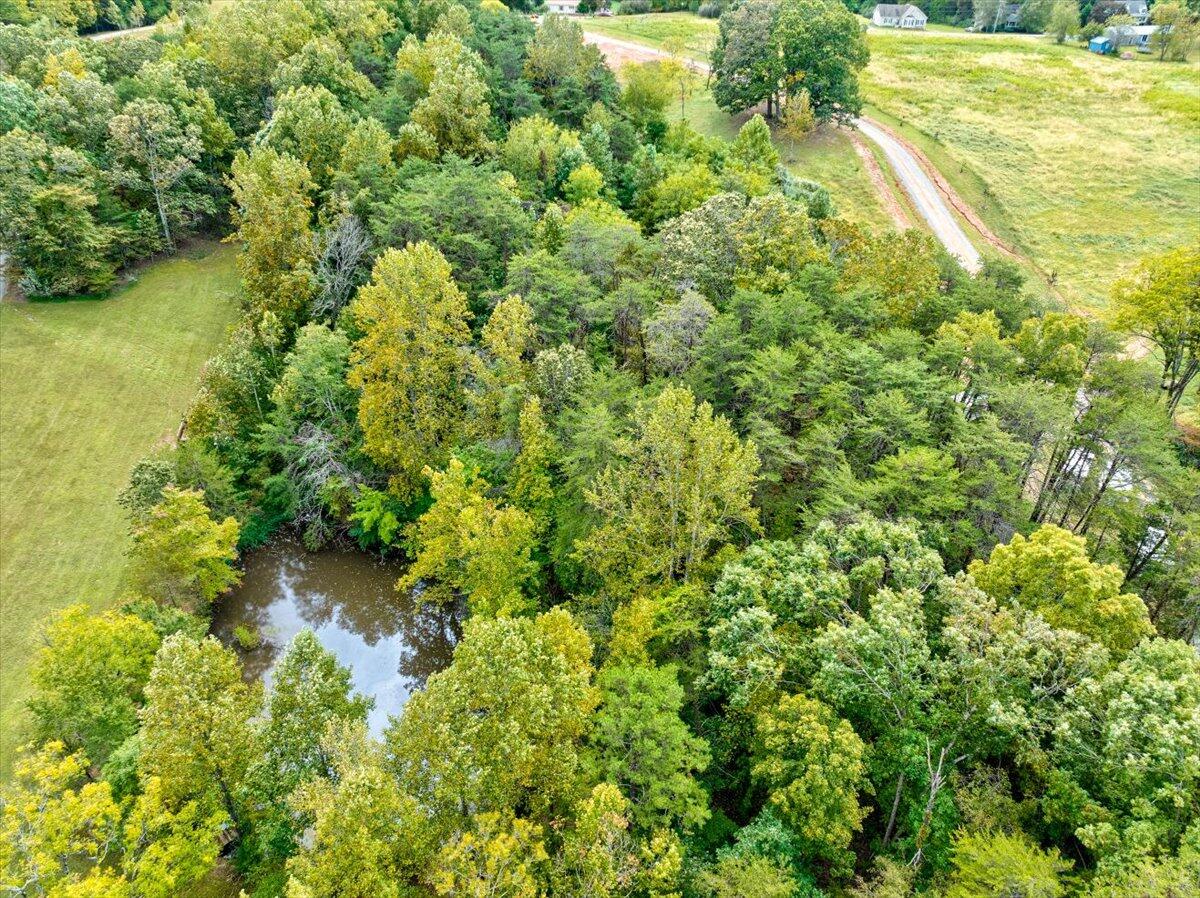 Lot 1 Merriman Way Road Moneta, VA 24121 - Photo 5 of 16 09-08- Lot 1 Merriman Way Rd-18