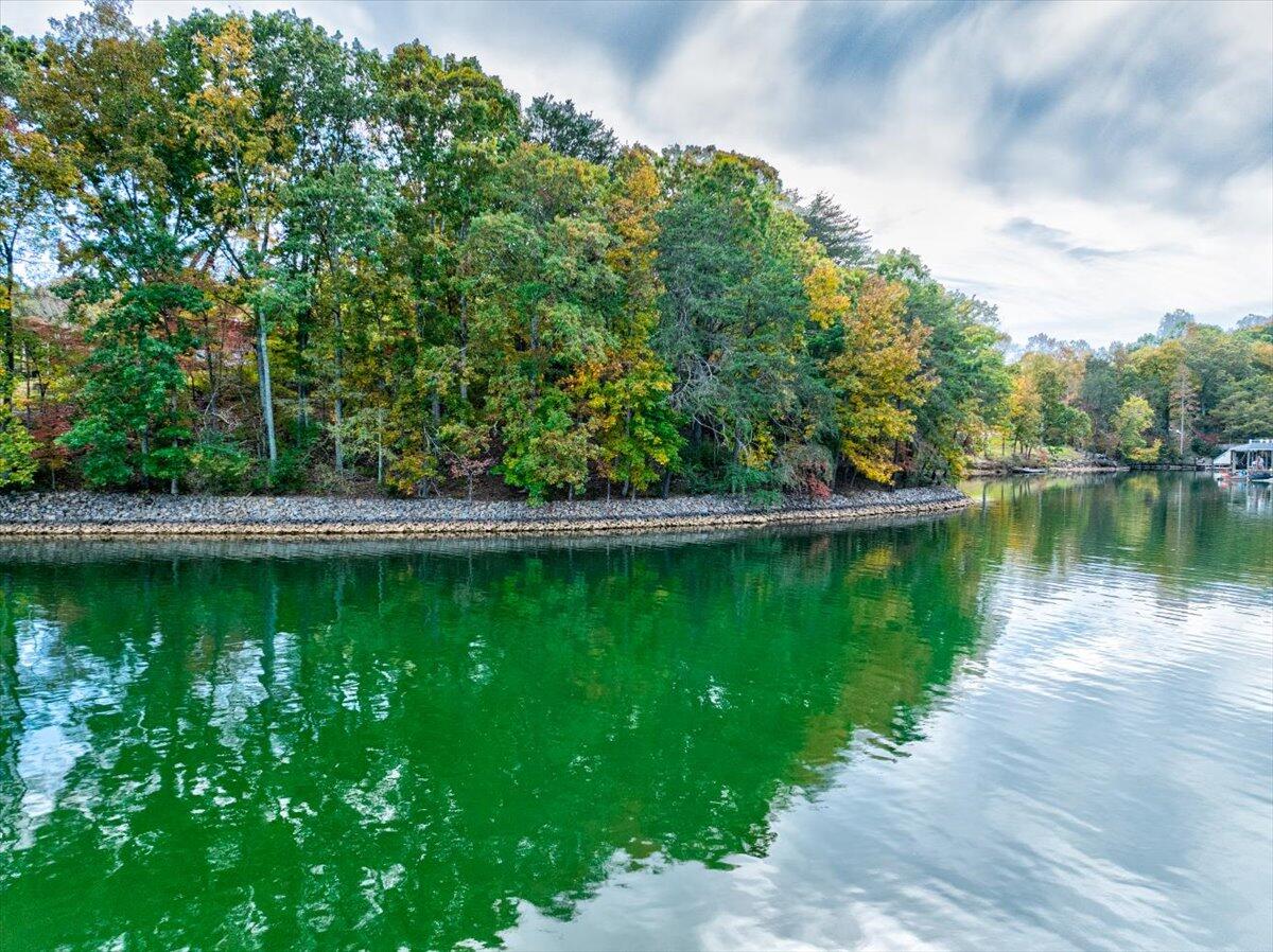 Lot 1 Merriman Way Road Moneta, VA 24121 - Photo 10 of 16 68-04- Lot 1 Merriman Way-7