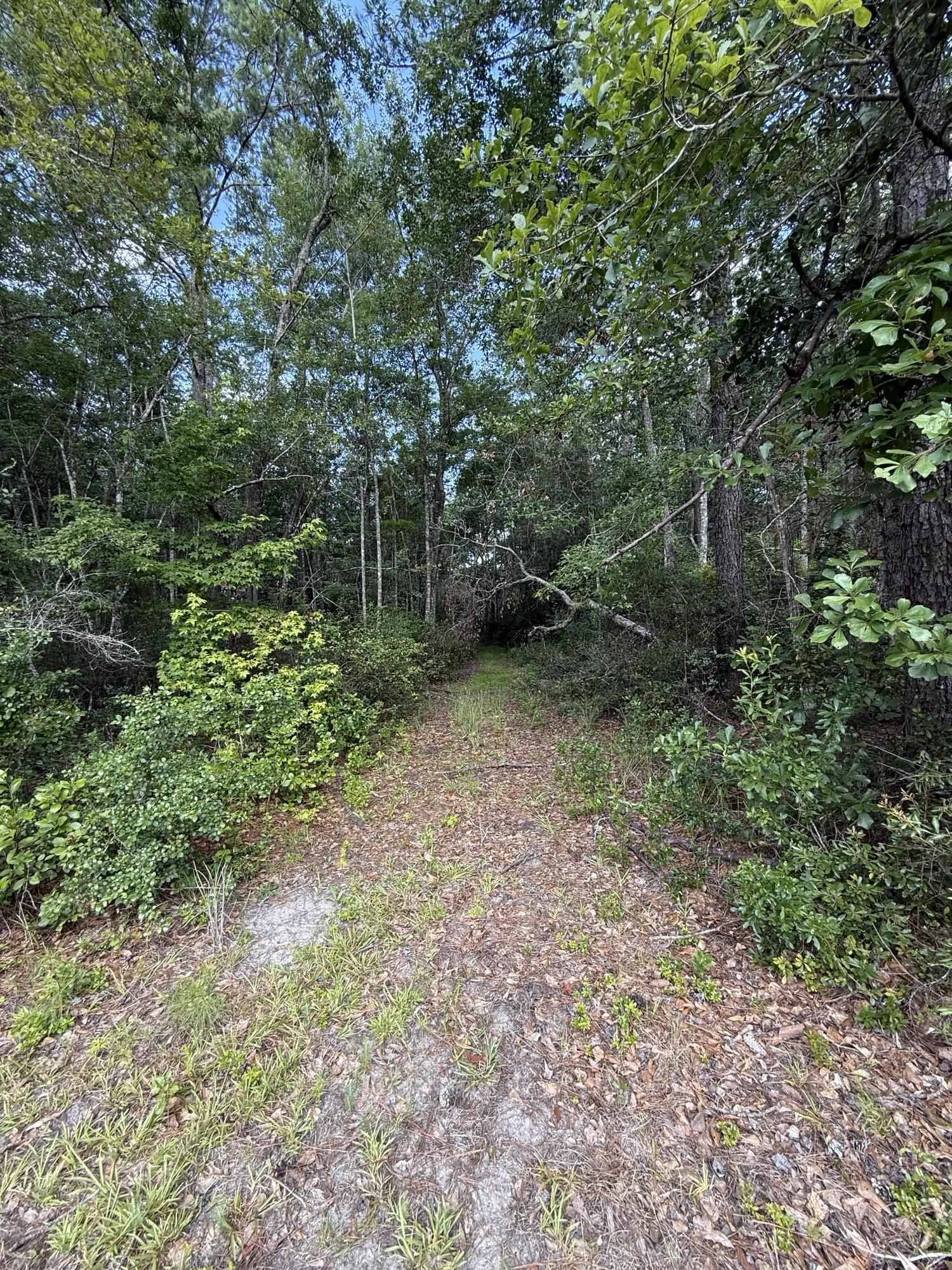 Xxx Neely Road Monticello, FL 32344 - Photo 30 of 37