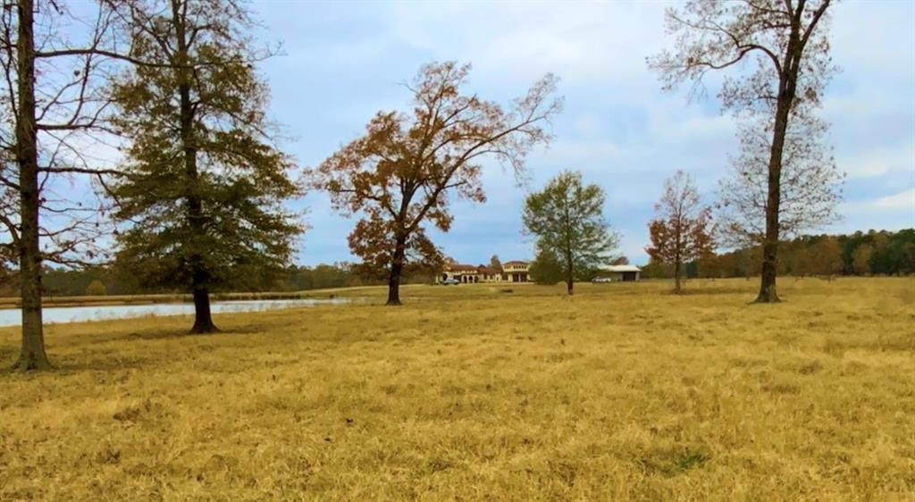 1 West Harrison Road Longview, TX 75604 - Photo 2 of 18 Pasture view of the Primary Residence