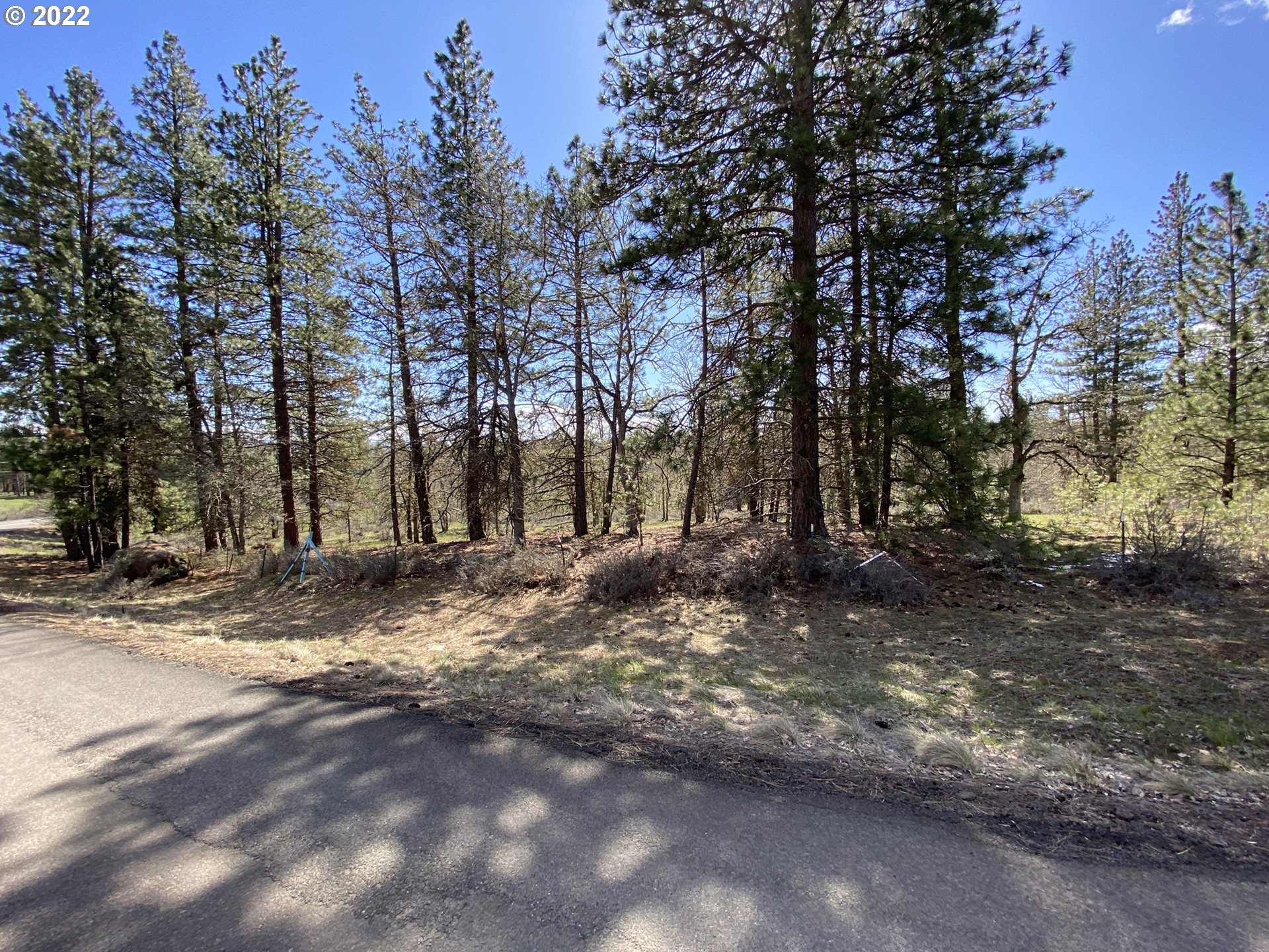 4 Dancing Mountain Road Goldendale, WA 98620 - Photo 13 of 28 Gallery Image 13