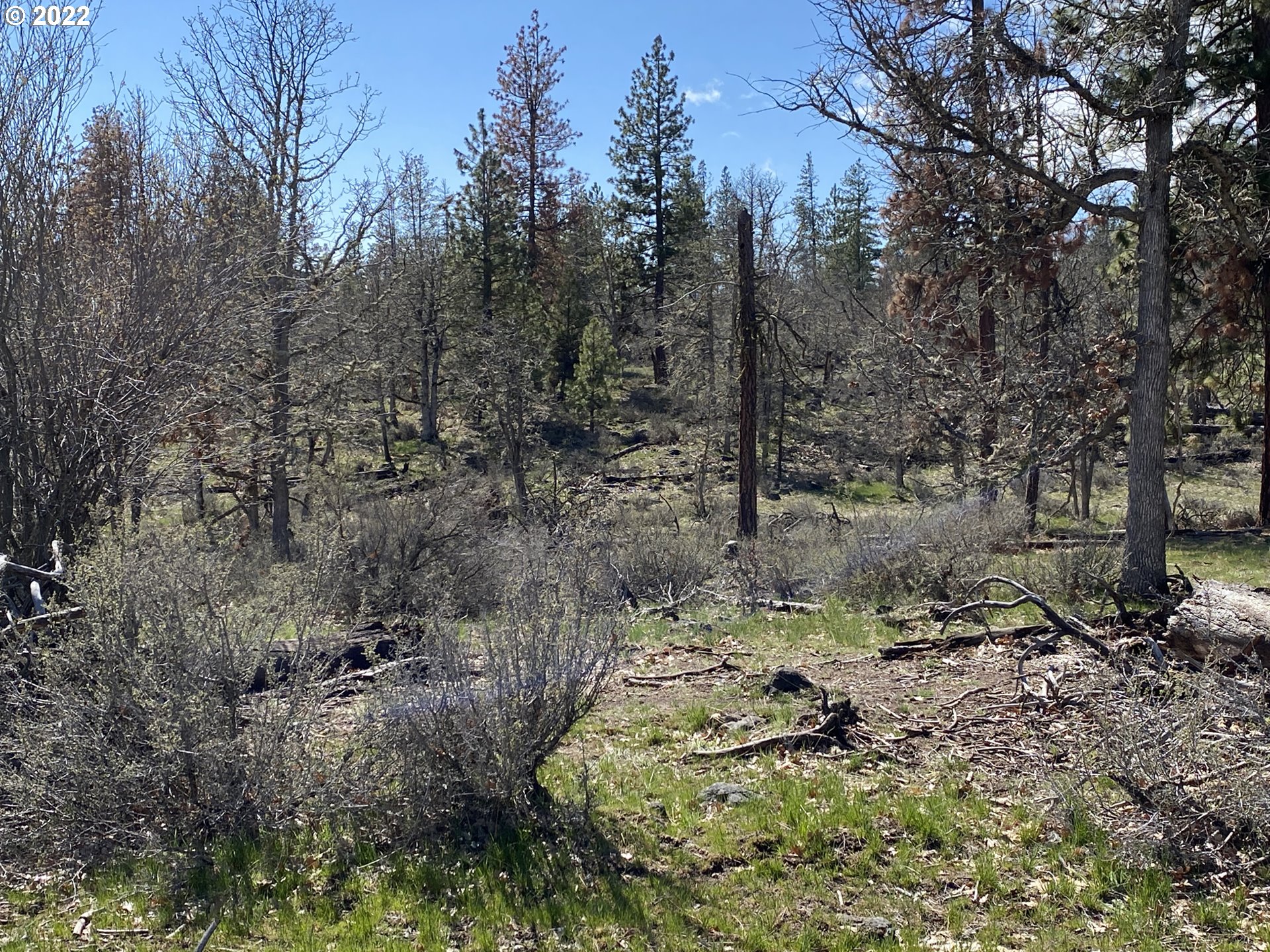 4 Dancing Mountain Road Goldendale, WA 98620 - Photo 24 of 28 Gallery Image 24