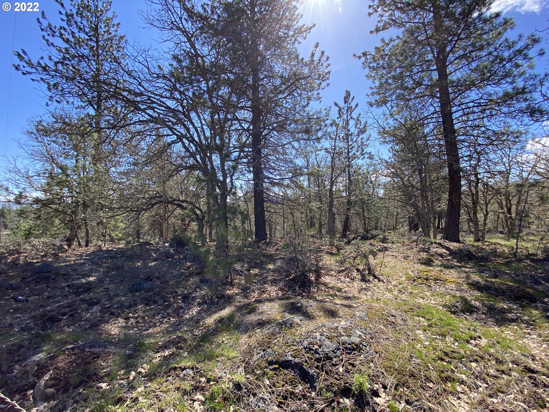 4 Dancing Mountain Road Goldendale, WA 98620 - Photo 8 of 28 Gallery Image 8