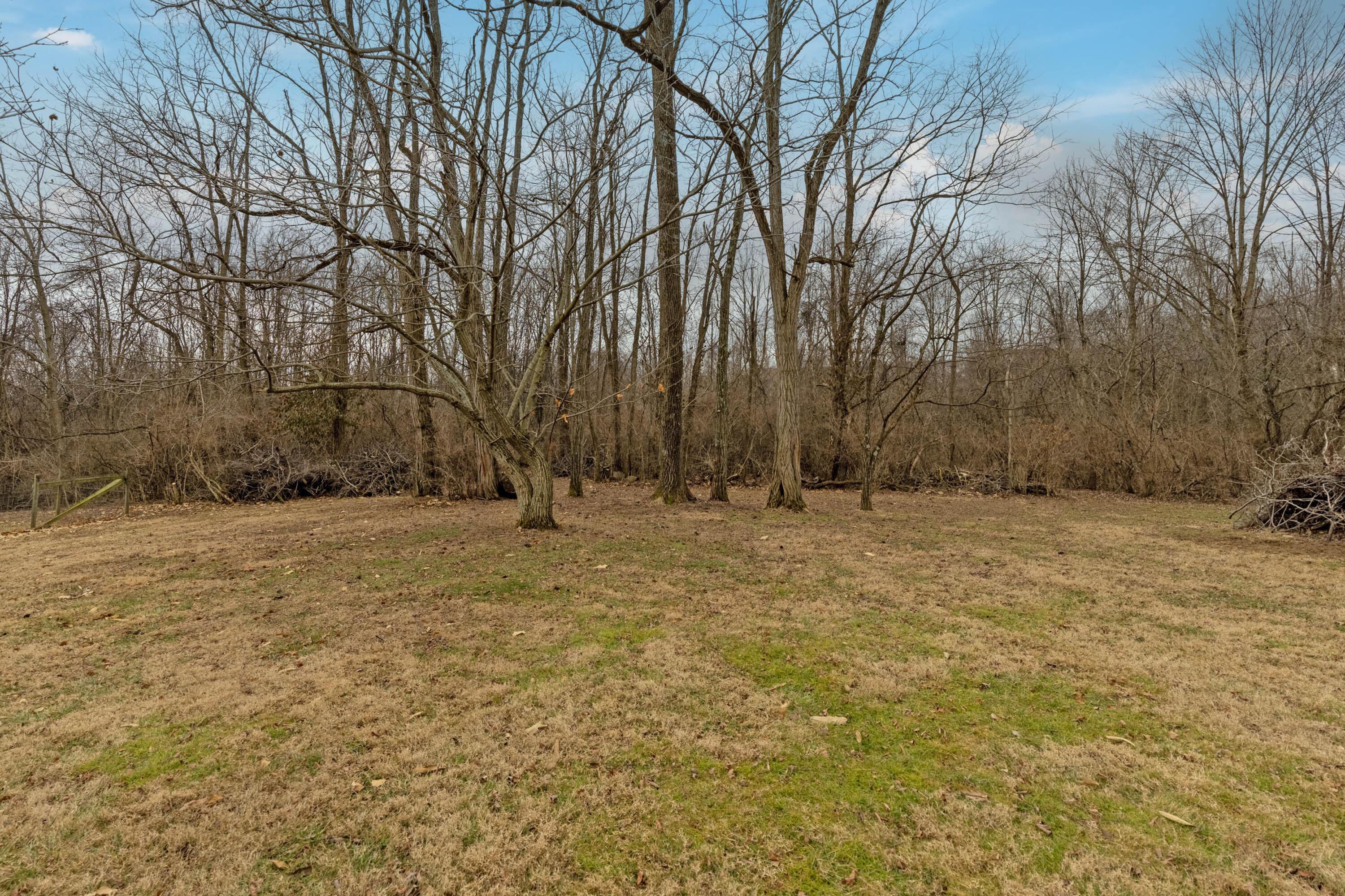 3670 East Powell Road Lewis Center, OH 43035 - Photo 53 of 58 51. Rear Yard