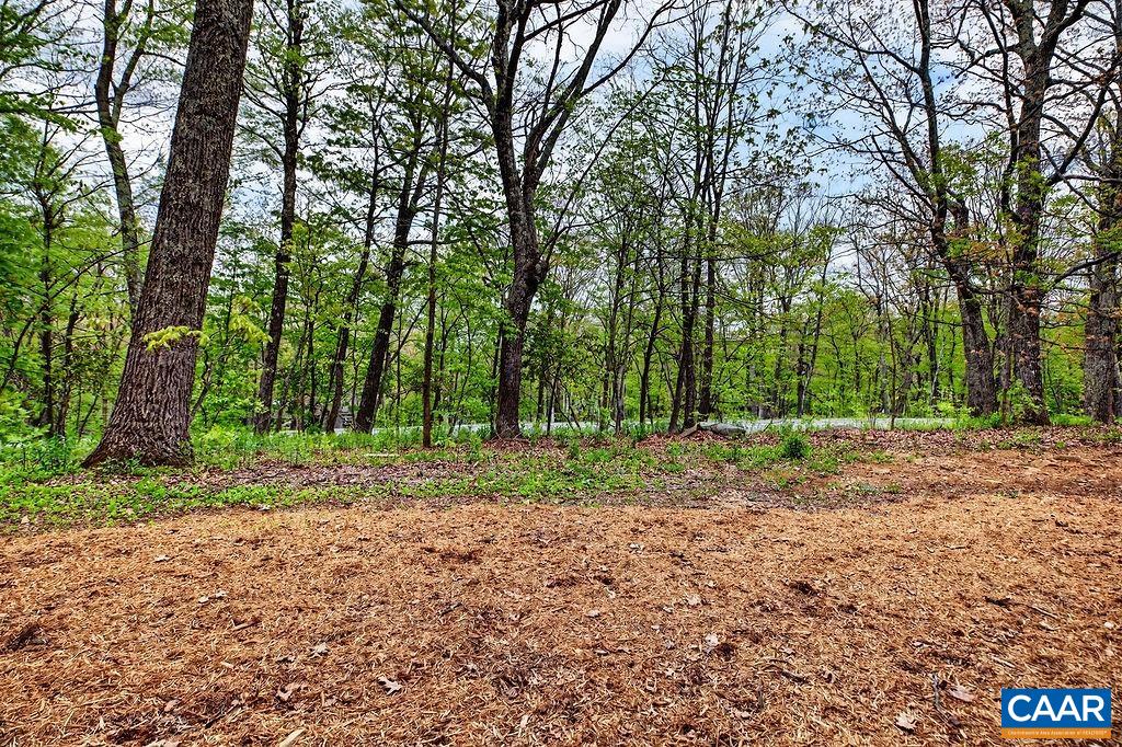 2231 Tanners Ridge Wintergreen, VA 22967 - Photo 6 of 30 a view of a backyard with trees