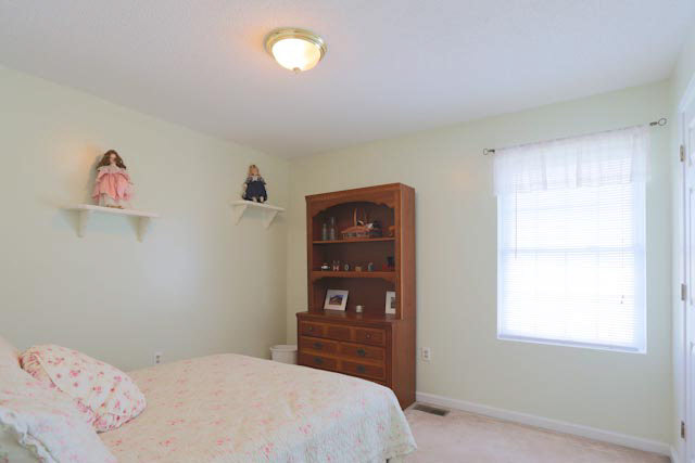 100 Dry River Road Bridgewater, VA 22812 - Photo 10 of 24 Gallery Image 10