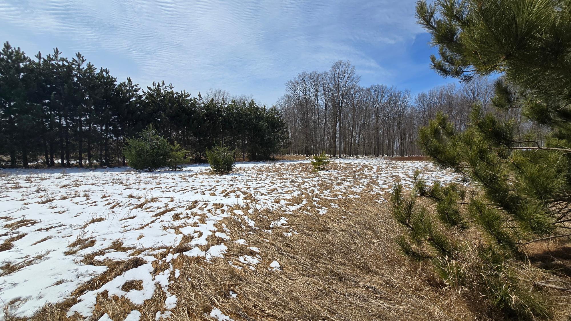 Three Pierce Drive Three Lakes, WI 54562 - Photo 2 of 6 Gallery Image 2