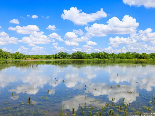 a view of a lake with a building in the background
