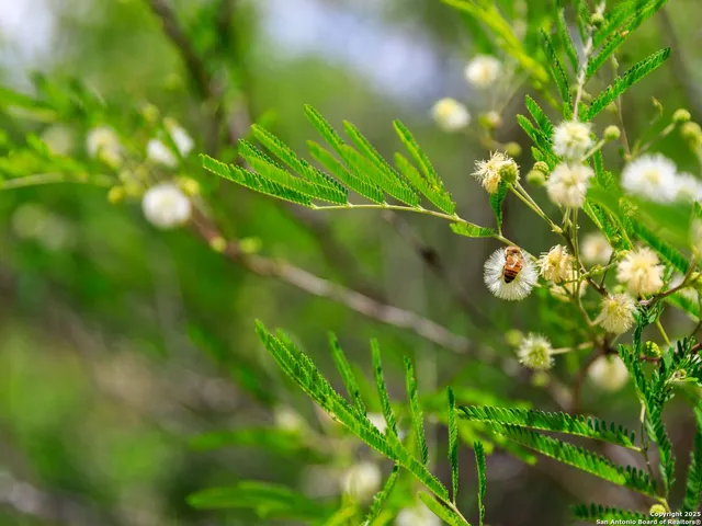 a view of lake with green space