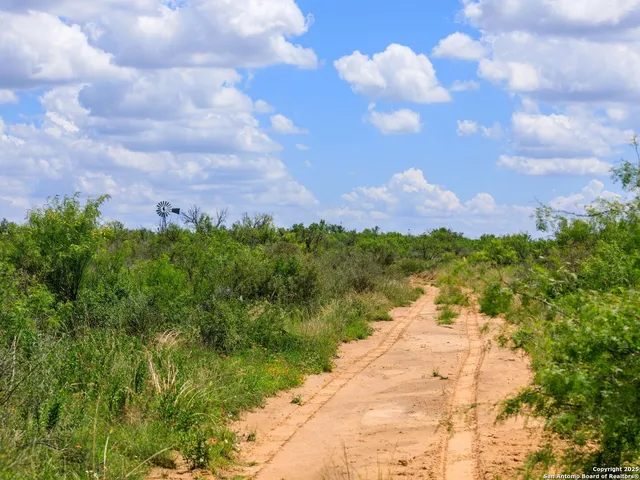 a view of a bunch of trees and buildings