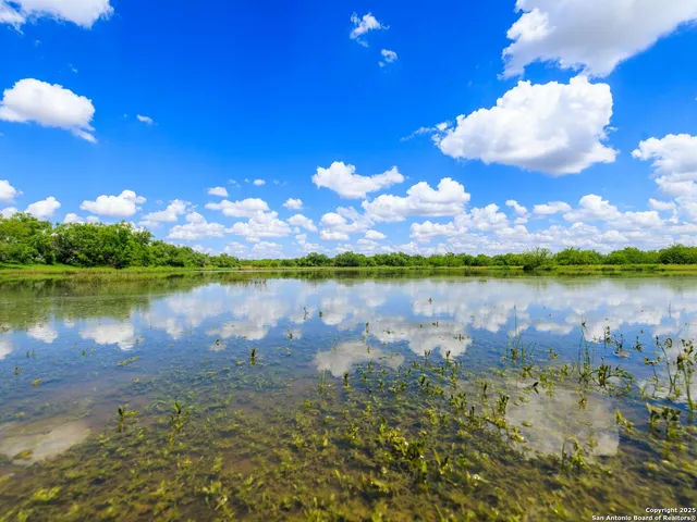 a view of a pathway both side of yard