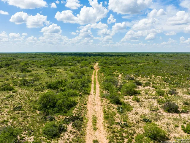 a view of a bunch of trees and barn in a back yard