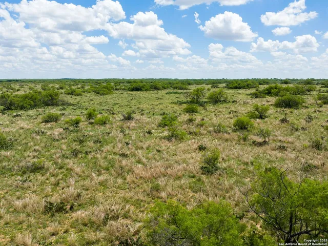 a view of a yard with an trees