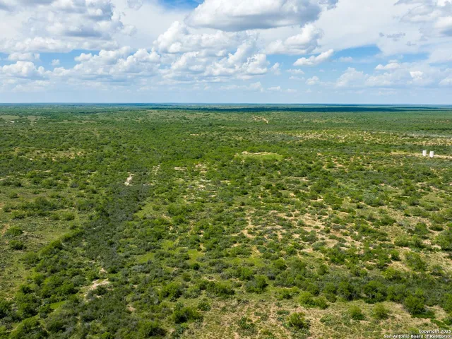 a view of a yard with an trees
