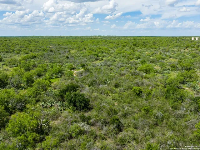 a view of yard with ocean