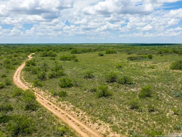a view of a city with lots of trees