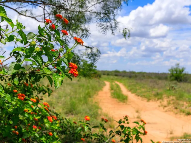 a view of a garden with a building