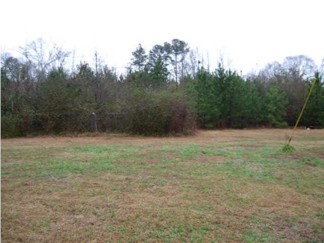 324 Star-Braxton Road Braxton, MS 39044 - Photo 5 of 7 Photo 5