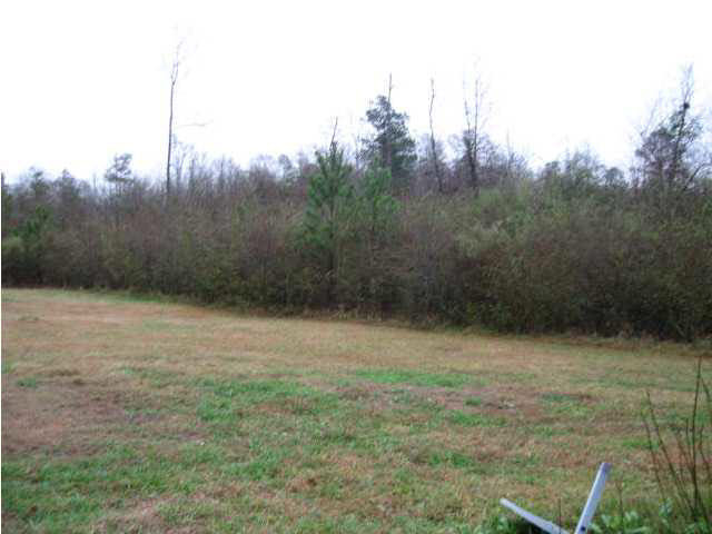 324 Star-Braxton Road Braxton, MS 39044 - Photo 6 of 7 Photo 6
