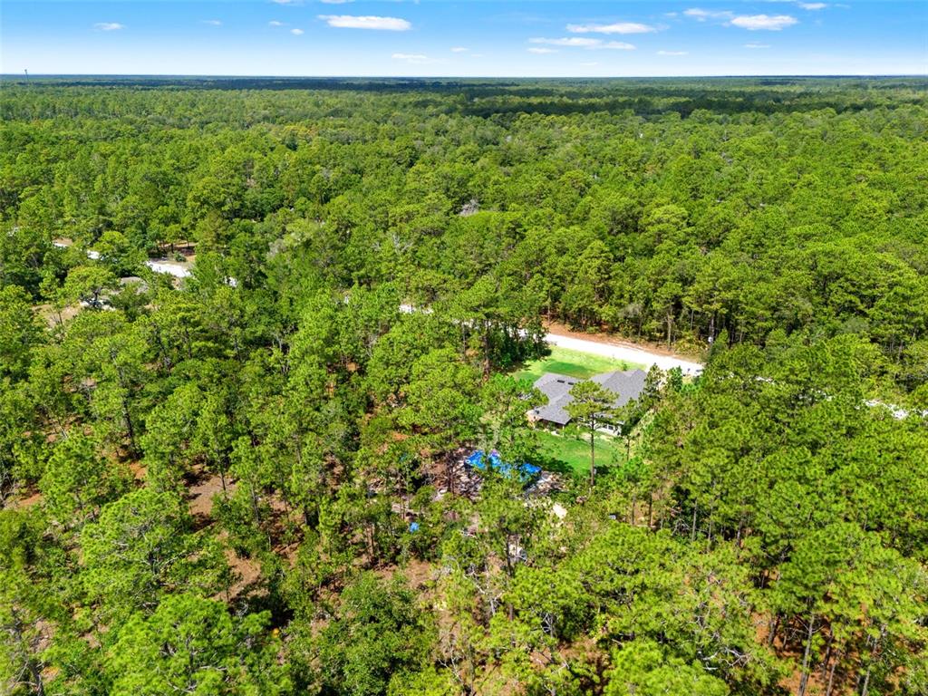 18336 Macek Road Weeki Wachee, FL 34614 - Photo 60 of 67