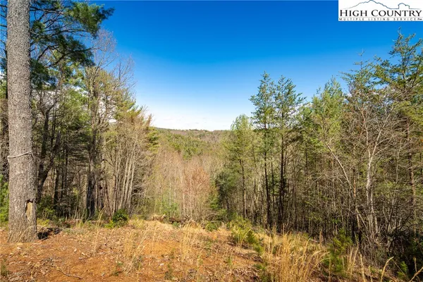 $449,900 | 128 Deer Antler Drive, Purlear, NC 28665