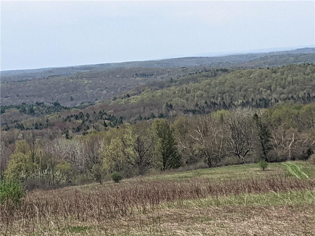 Bennett Road Swan Lake, NY 12783 - Photo 1 of 1 Gallery Image 1
