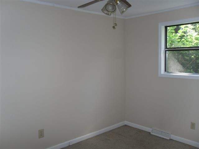 842 Upper Concord Road Ten Mile, TN 37880 - Photo 12 of 19 Gallery Image 12