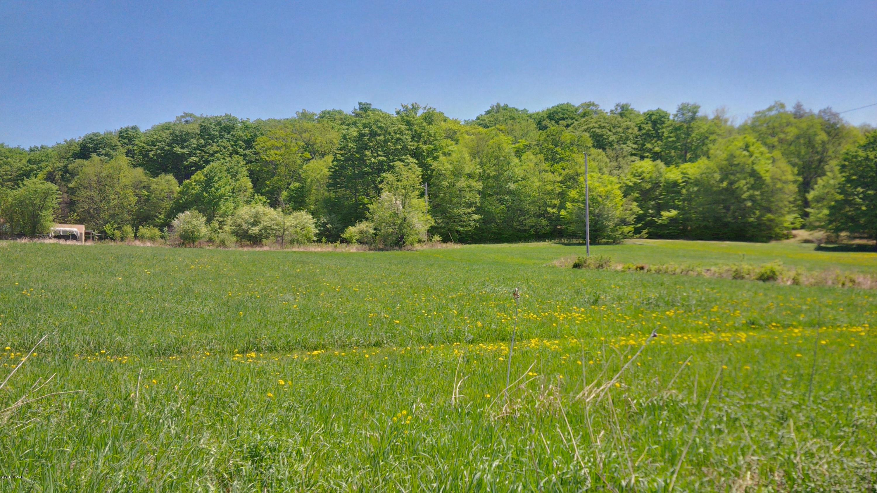 Westcott Road Tyler Hill, PA 18469 - Photo 3 of 6