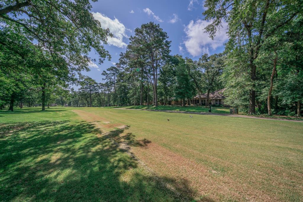 234 Spring Lake Knoll Trail Holly Lake Ranch, TX 75765 - Photo 4 of 20 a view of a field with trees in the background