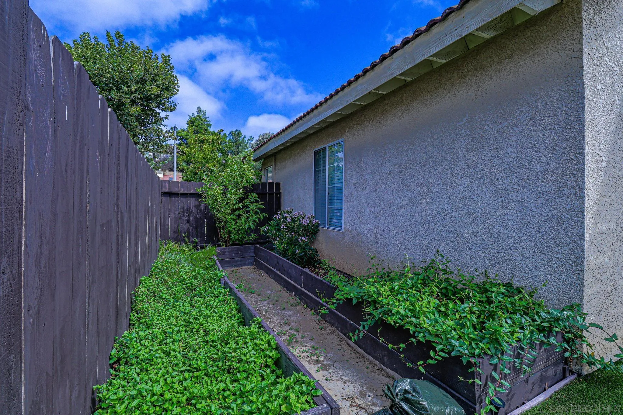 39884 North General Kearny Road Temecula, CA 92591 - Photo 51 of 58 a view of a backyard with plants